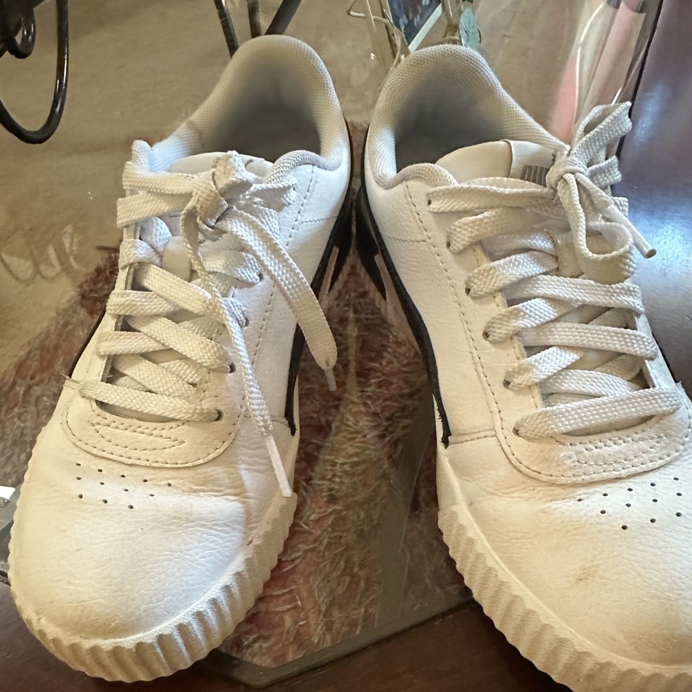 Pumas 6.5